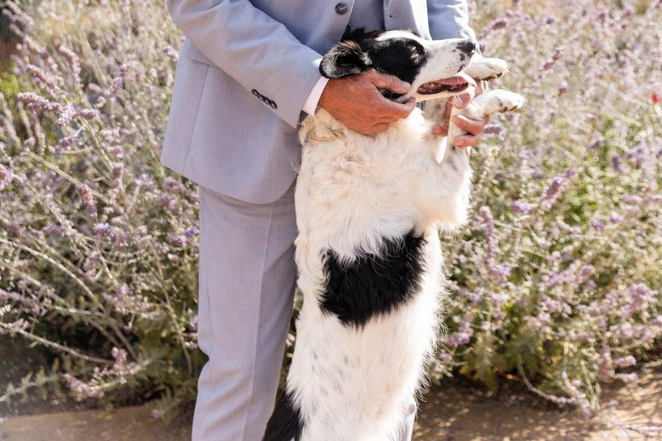 Photo volée mariage