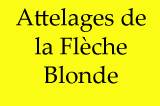 Logo Attelages de la Flèche Blonde