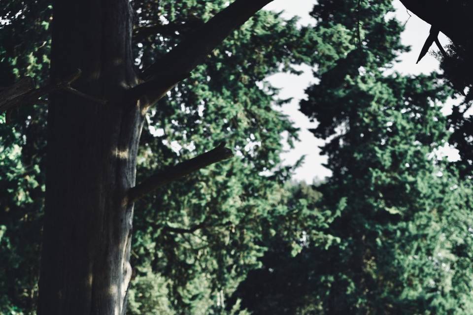 Sarah Hammel - Photographie