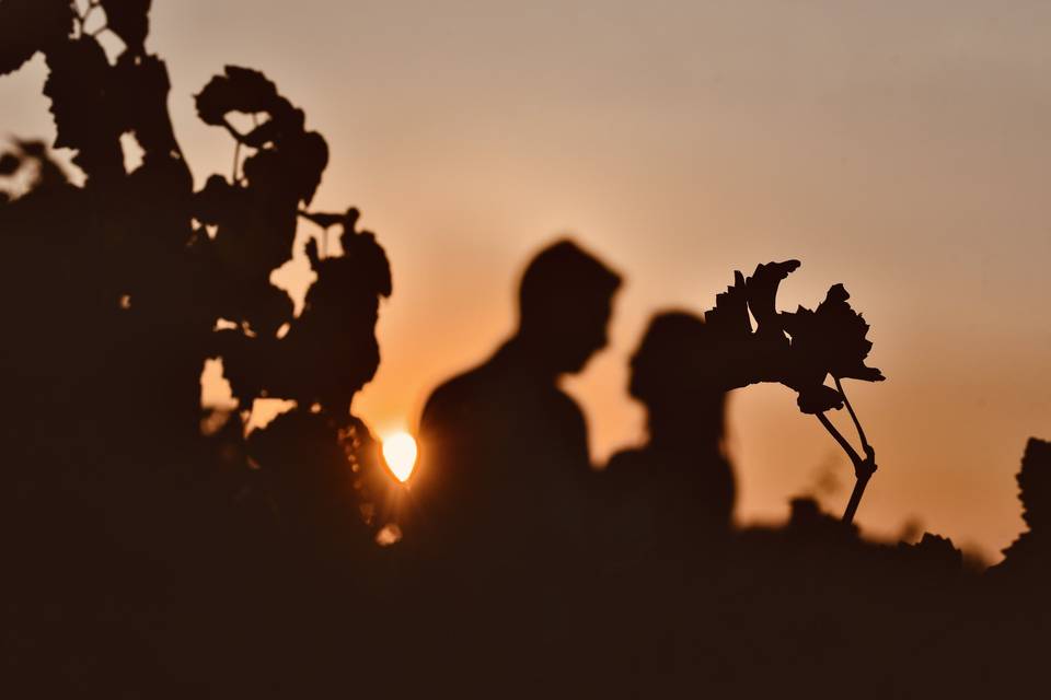 Sarah Hammel - Photographie