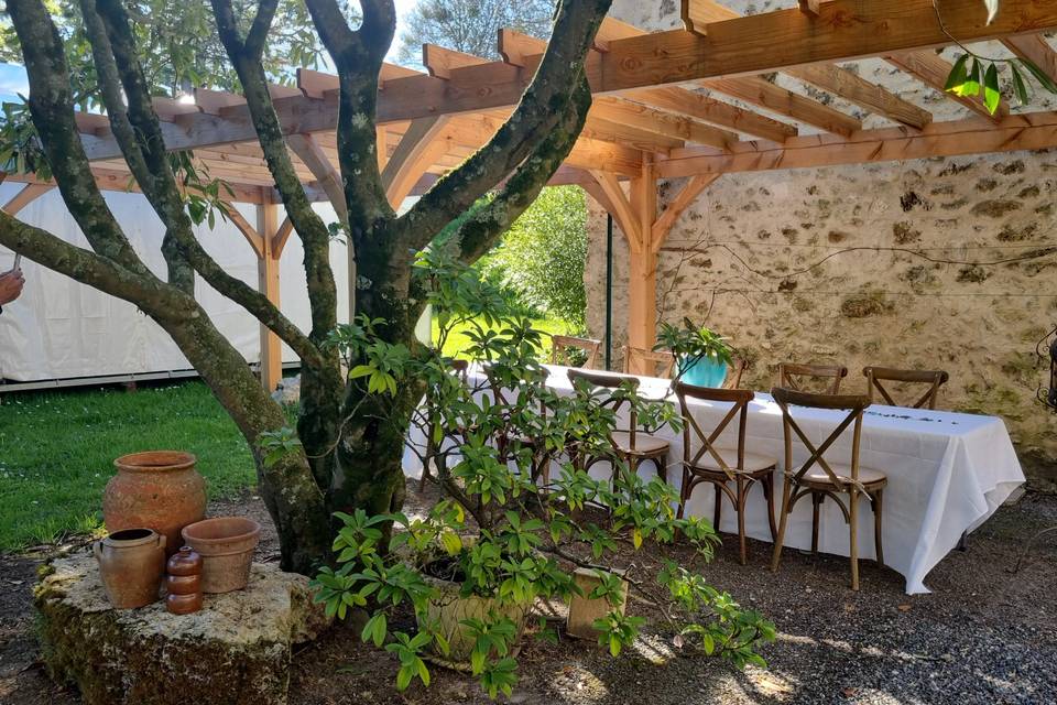 Sous la Pergola 2