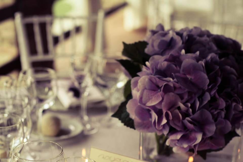 Violette & Rose - Wedding and Event Planner