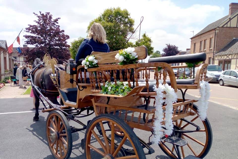 Les Calèches du Mesnil