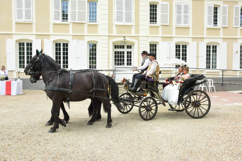 Les Calèches du Mesnil