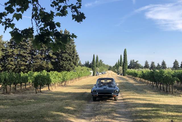 Domaine Martin de Grangeneuve