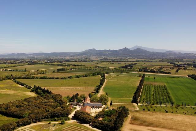 Perspective avec le Ventoux
