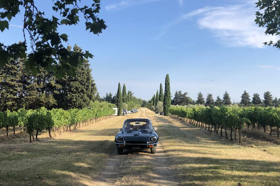 Domaine Martin de Grangeneuve