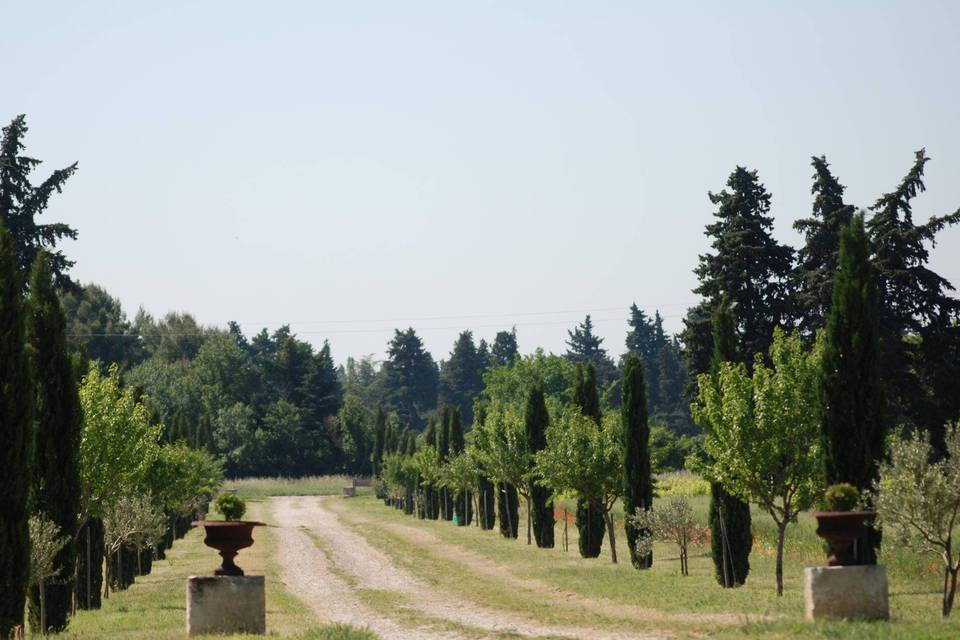 Domaine Martin de Grangeneuve