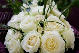 Roses blanches