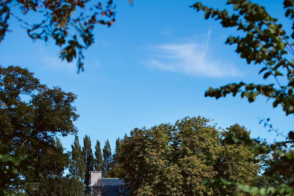 Jardin extérieur pour tente