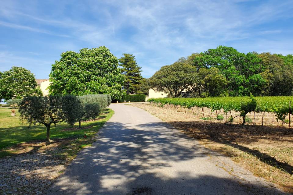 Entrée du domaine