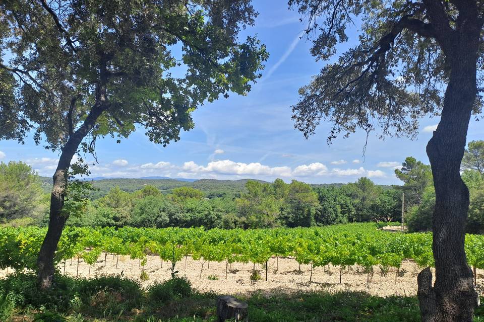 Vue sur les reliefs