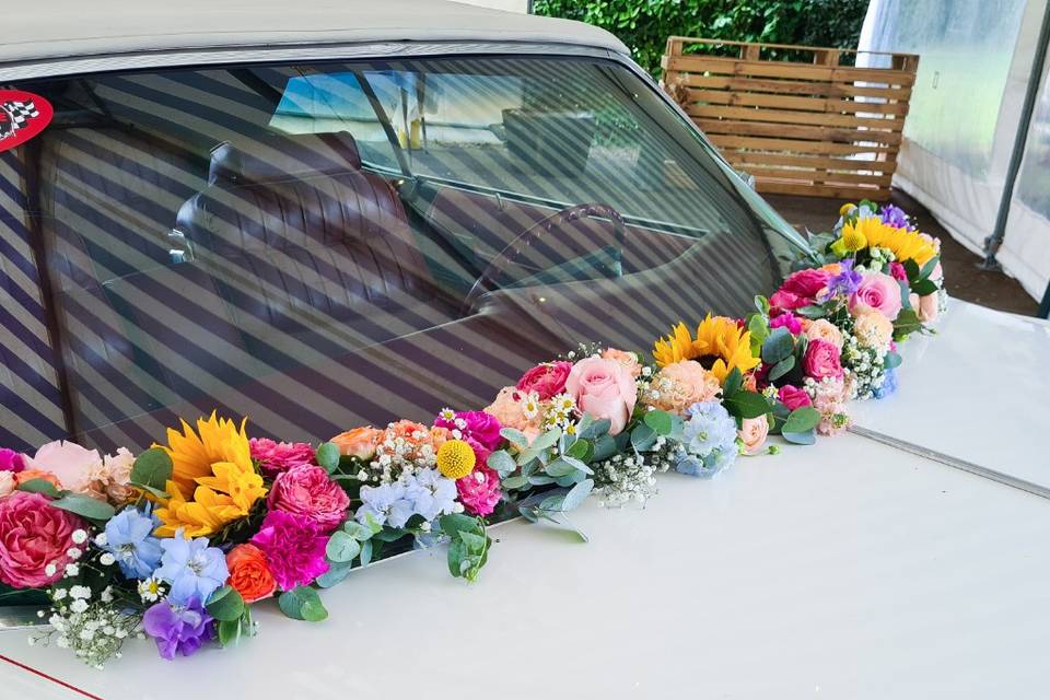 Guirlande voiture