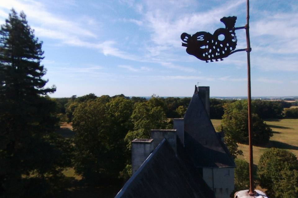 Château tour d_oyré poitou 14