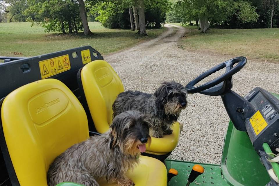 En voiture !