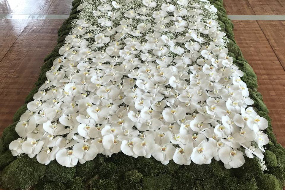 Tapis orchidee volante