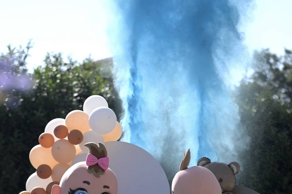 Gender reveal