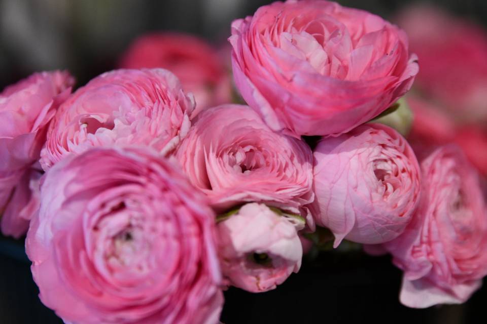 Bouquet de mariée
