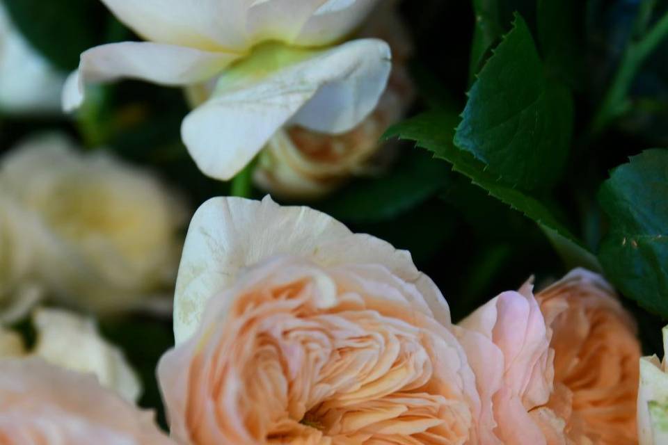 Bouquet de mariée