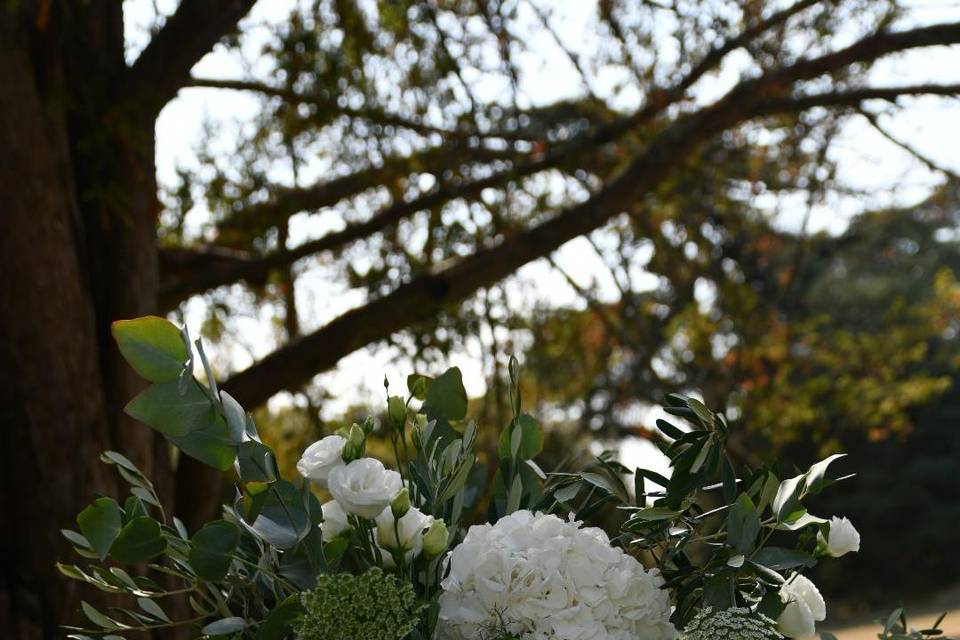 Décor cérémonie