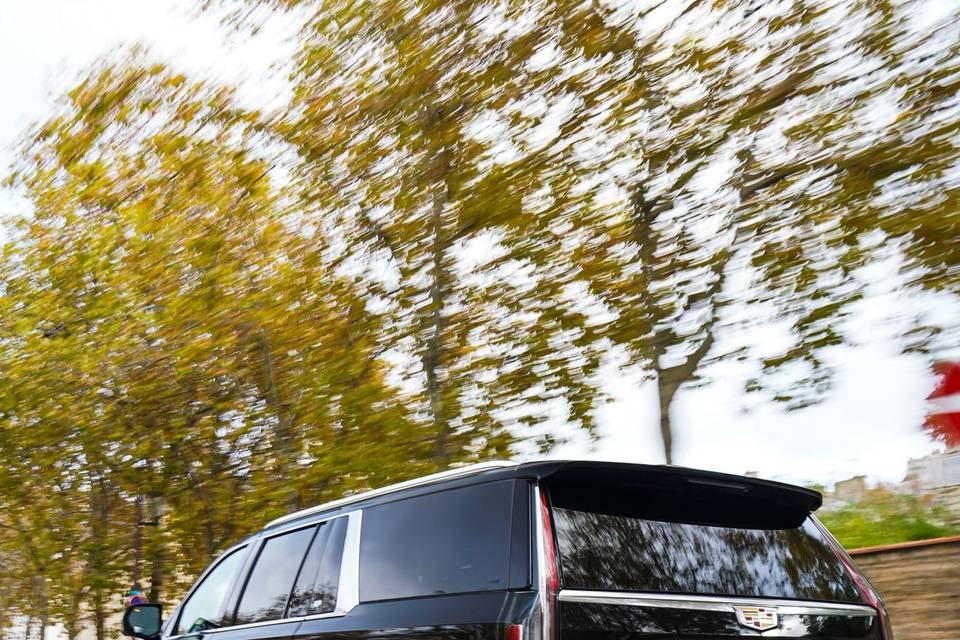 Escalade