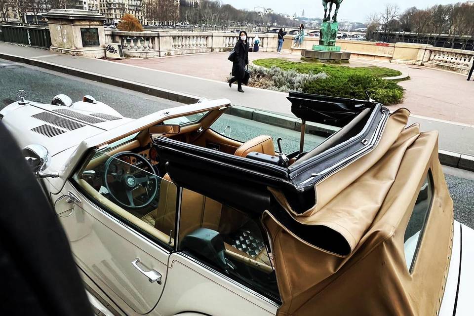 Allolimousine