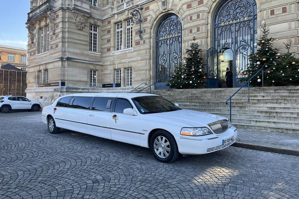 Allolimousine
