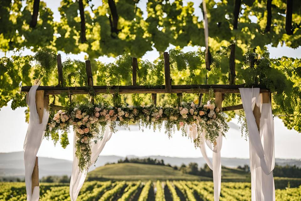 Mariage dans les vignes