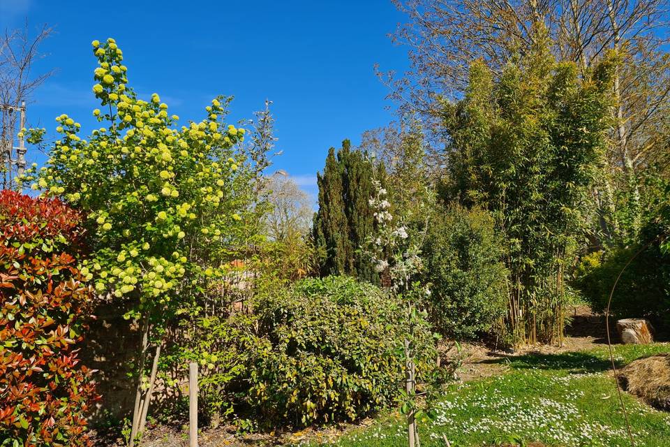 Au Moulin de La Wantzenau