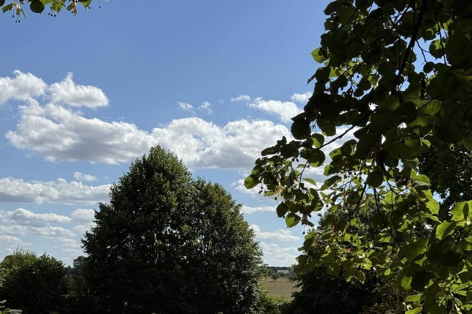 La Massonnière