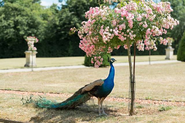 Sylvain Bordier Photographe