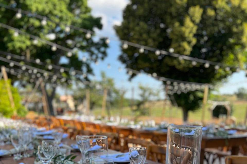 Le domaine