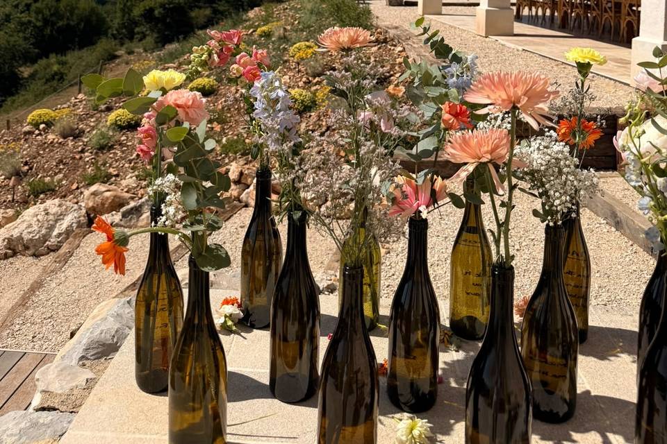 Vue ventoux