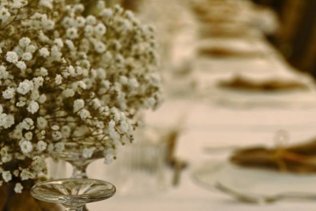 Détail Fleur