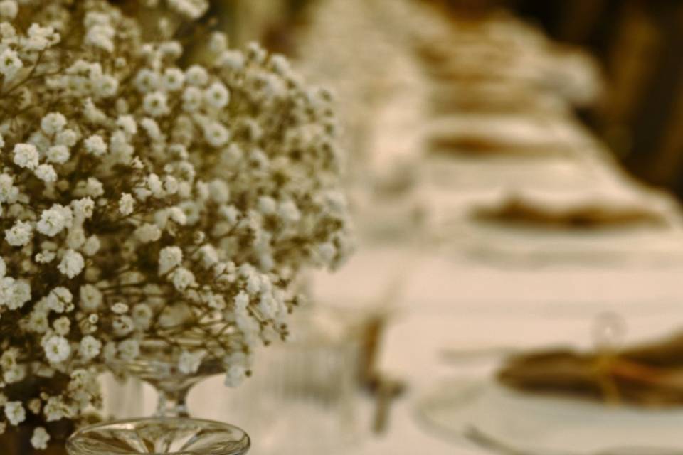 Détail Fleur