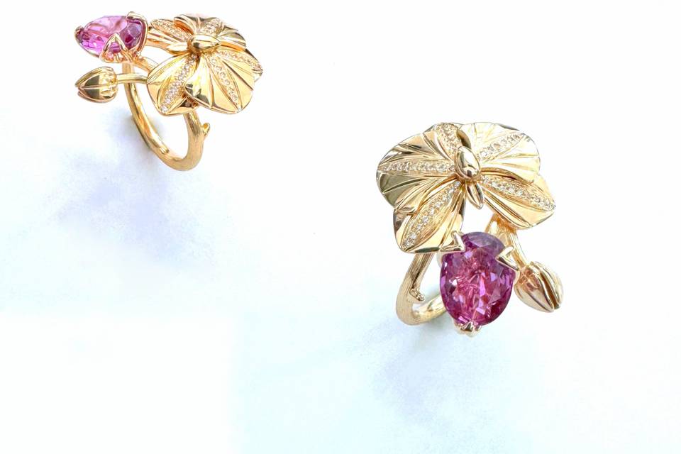 Orchidée rose