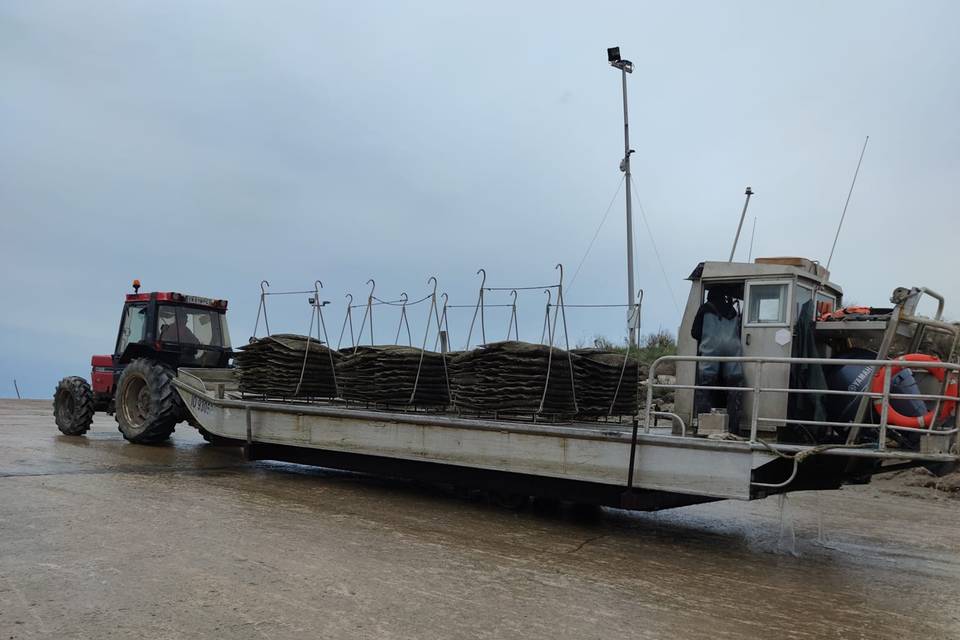 Ostreiculteur