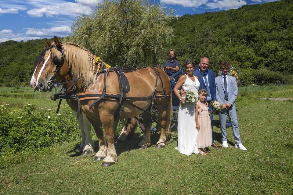 Fan de chevaux