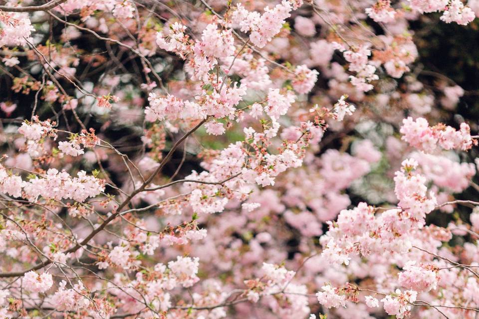 Printemps