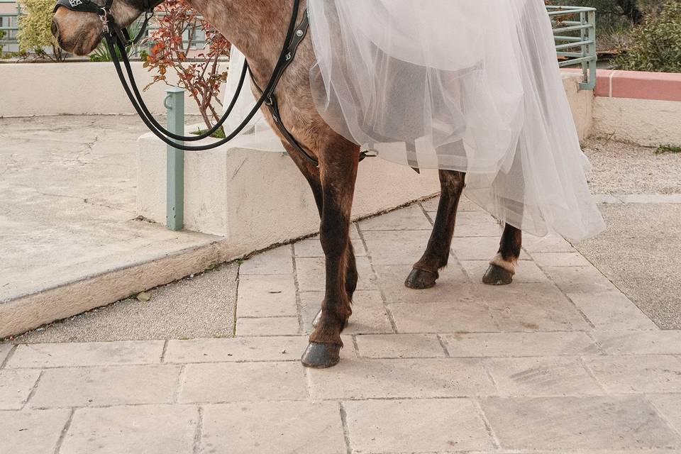 La princesse Alexia