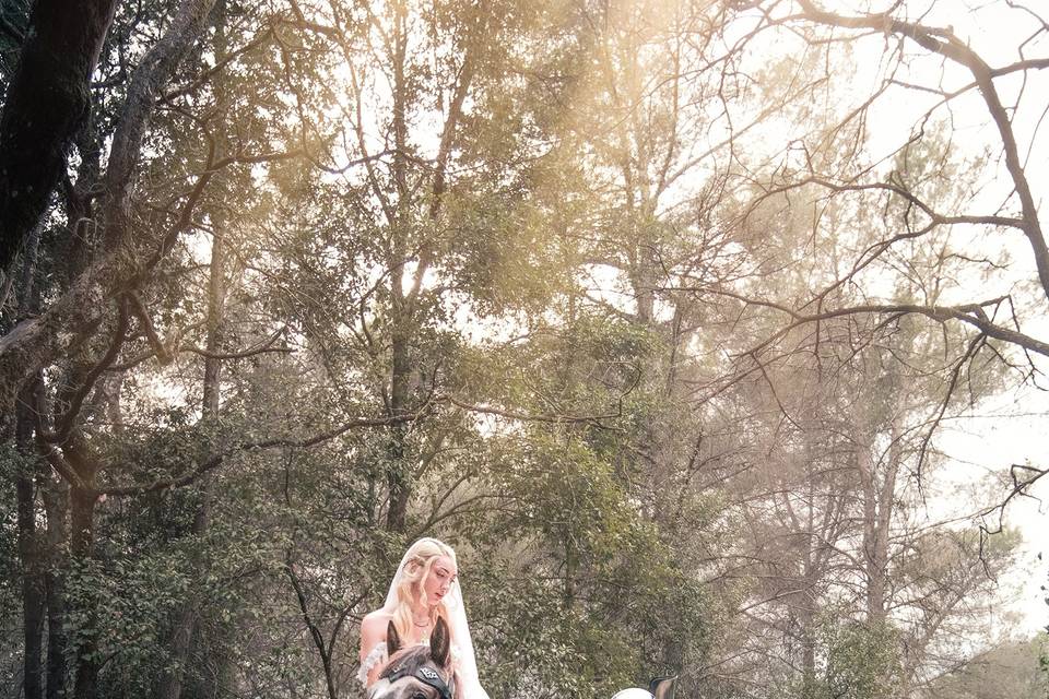 Un mariage féerique !!!