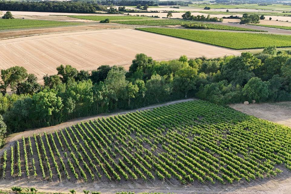 Agriculture raisonnée