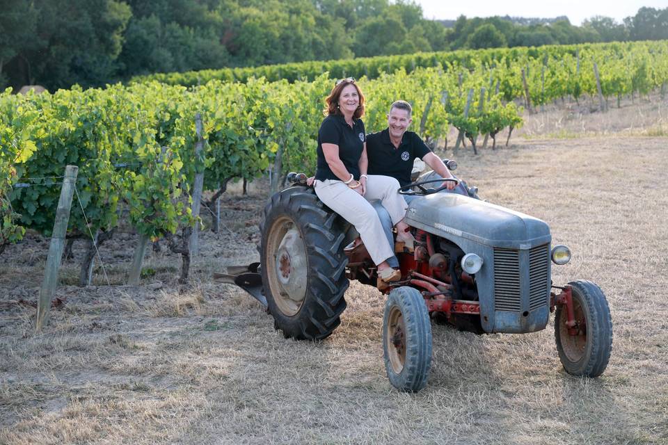 Accueil au vignoble