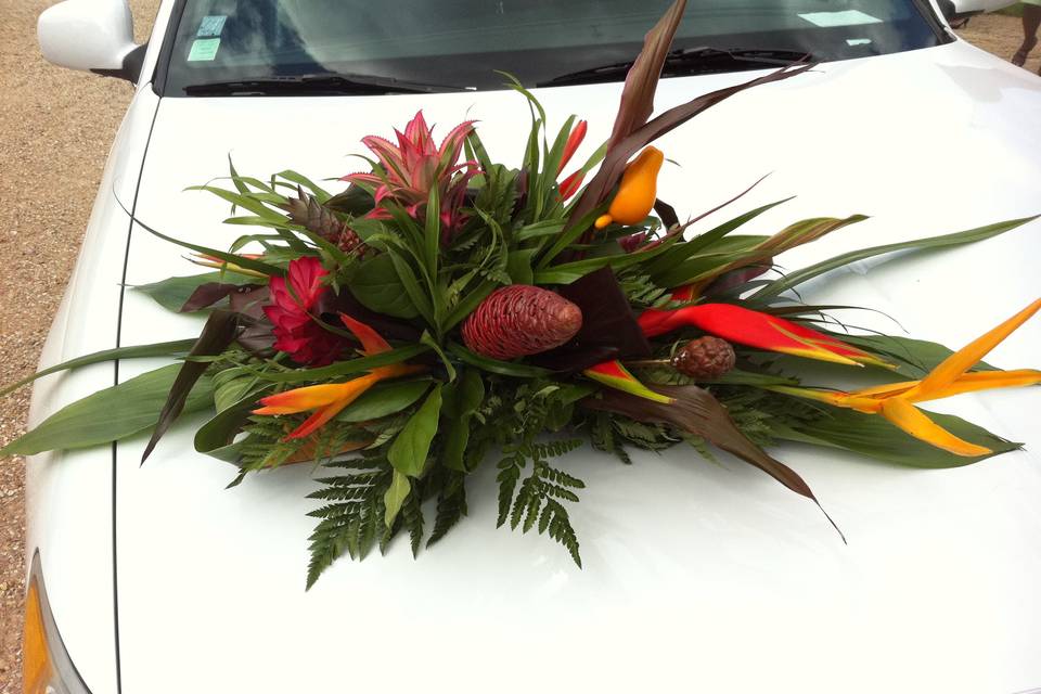 Décoration capot