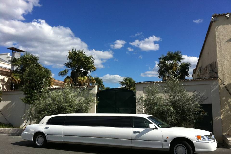 Limousine