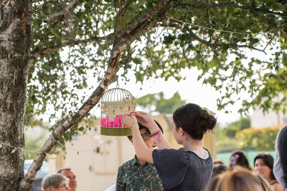 Cocktail