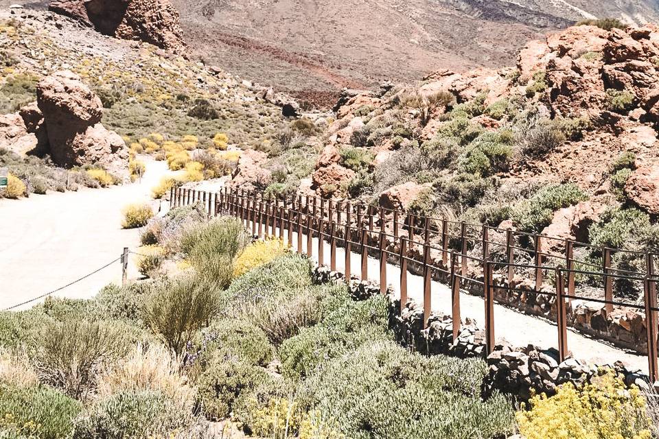 Découvrir les îles Canaries