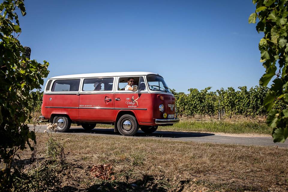 Loire Vintage Discovery