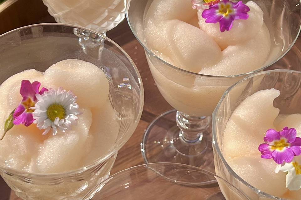 Frozen St Germain Spritz