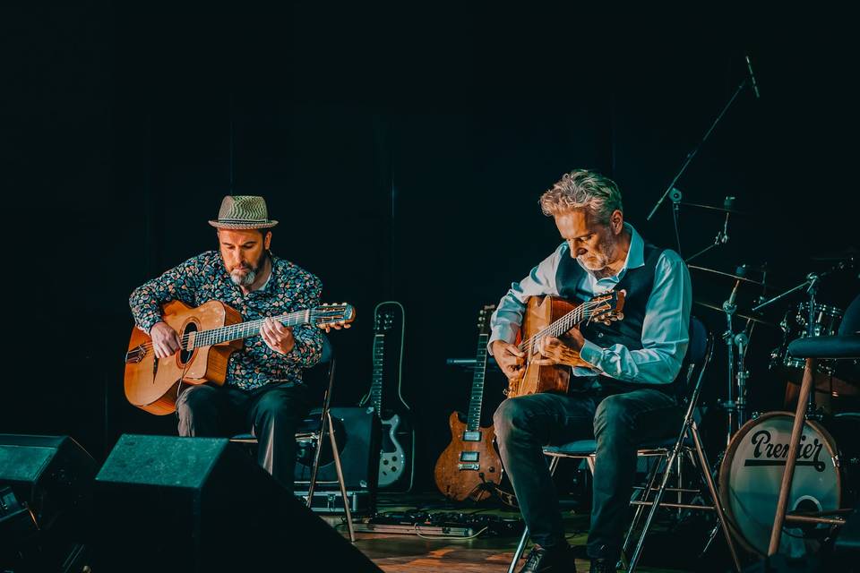 Duo swing